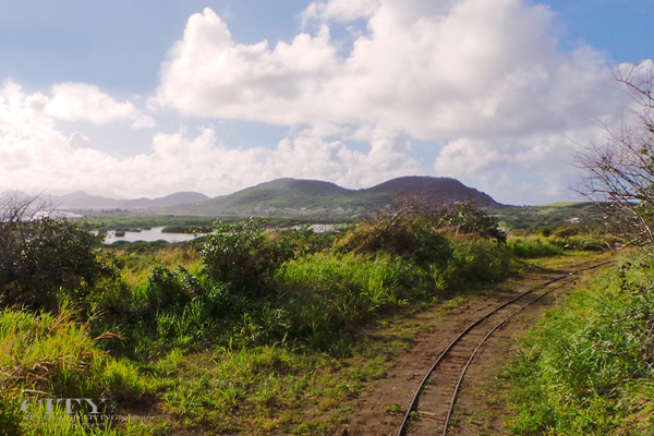 The St. Kitts Scenic Railway