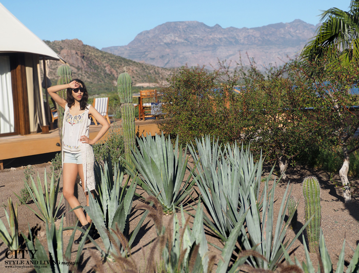 City style and living magazine style fashion blogger loreto mexico loreto desert villas palmar