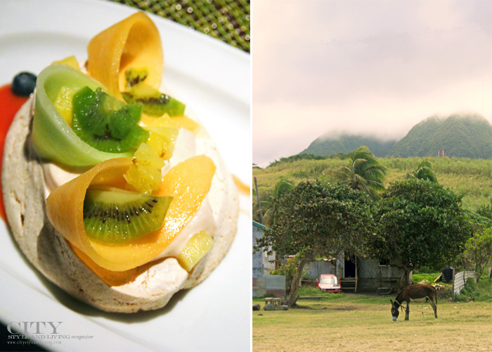 City Style and Living Magazine st kitts and nevis four seasons wild donkey