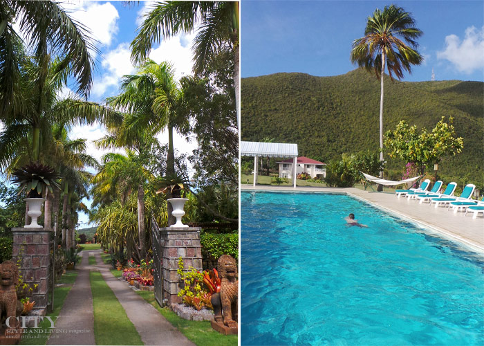 City Style and Living Magazine st kitts and nevis botanical gardens and pool at mount nevis