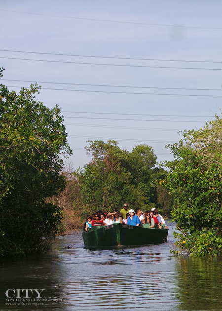 A boat filled with sightseers awaiting the roosting scarlet ibis. /K&S Media. A boat filled with sightseers awaiting the roosting scarlet ibis. /K&S Media.