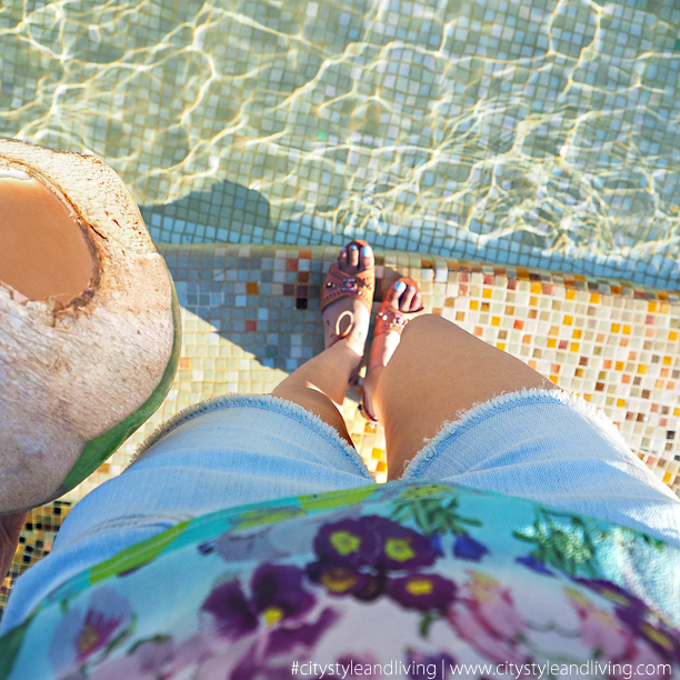 Coconut by Pool Villa Del Palmar Loreto Mexico Coconut by Pool Villa Del Palmar Loreto Mexico