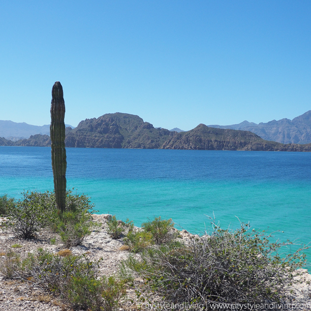 coronado island Loreto Mexico K and S Media coronado island Loreto Mexico K and S Media