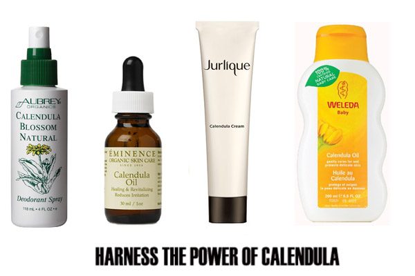 Calendula Products