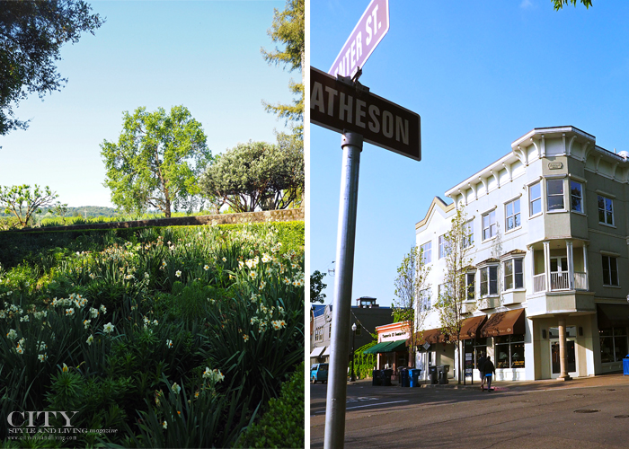 City Style and Living Magazine Alexander valley vineyards, downtown healdsburg