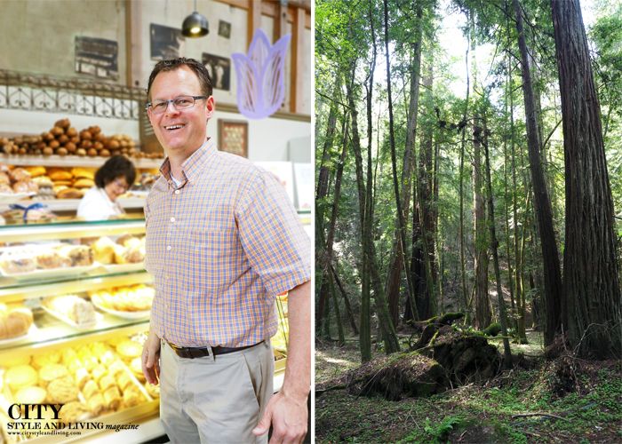 City Style and Living Magazine Costeaux bakery, armstrong state park healdsburg