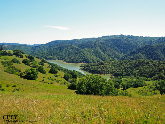 Lake Sonoma City Style and Living Magazine