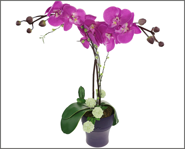 Lexliving-silicone-Collapsible-Orchid-Flower-Pot