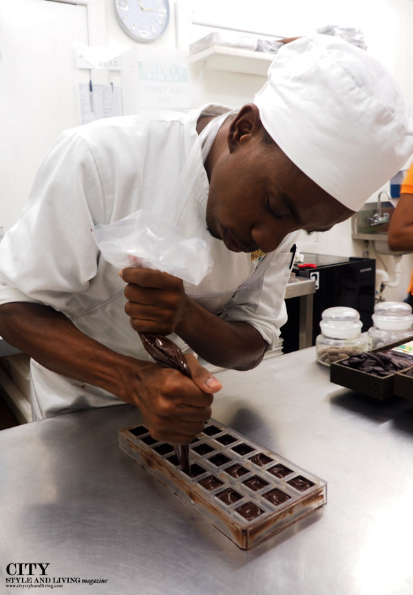 Anse Chastanet Chocolate Lab