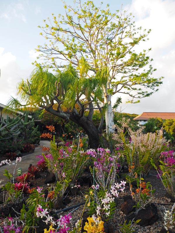 City Style and Living Magazine Moir Gardens Kauai Orchids