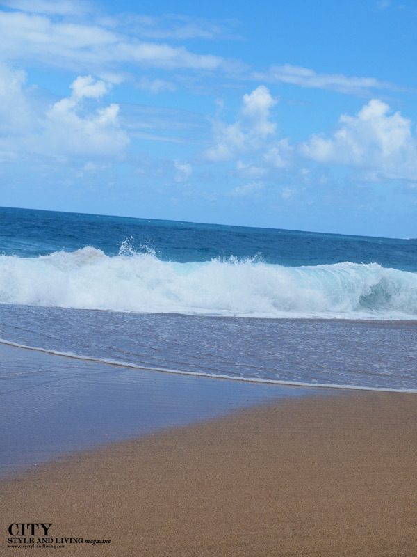 City style and living magazine style fashion blogger Kauai Pacific Ocean Beach