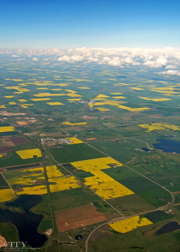of City Style and Living Magazine alberta aerial
