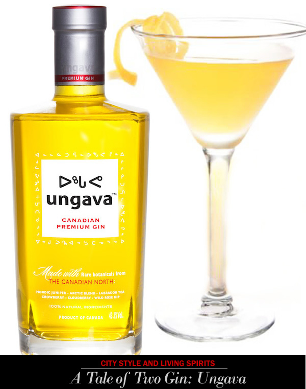 city style and living spirits ungava gin