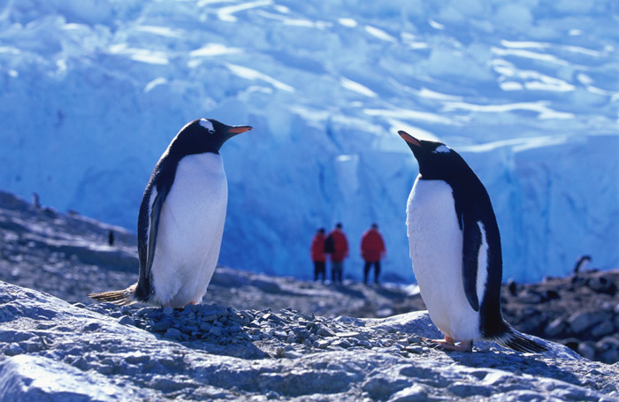 City Style and Living Magazine holidays 2016 antarctica