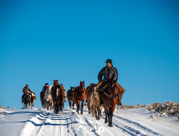 City Style and Living wyoming ranch