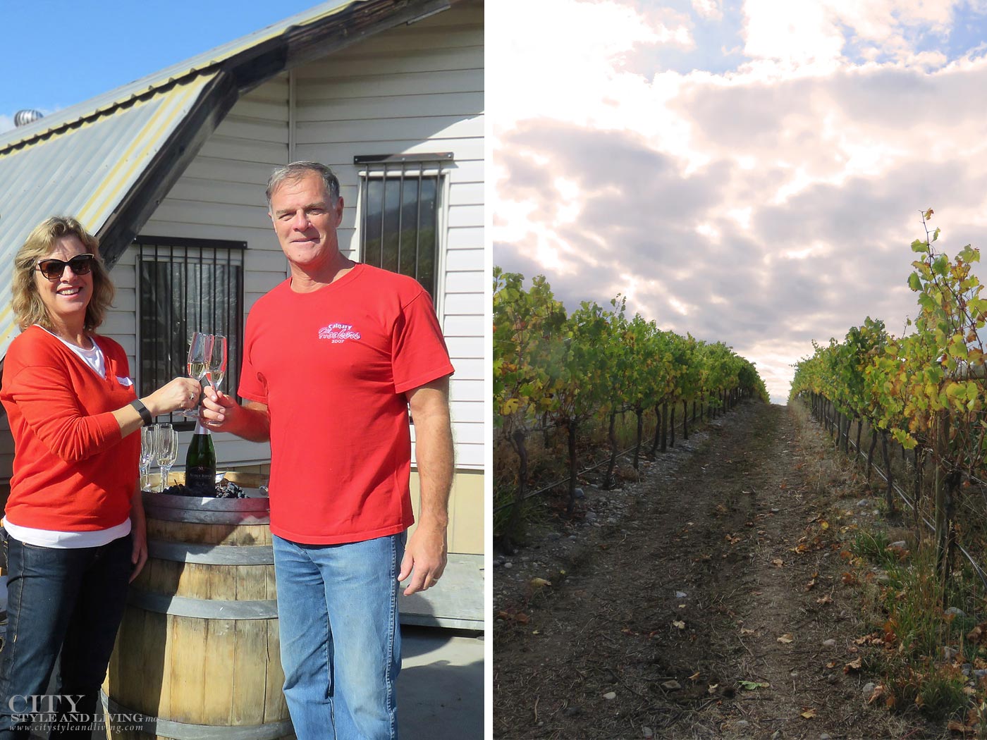 City Style and Living Magazine Noble Ridge Vineyards in The Okanagan