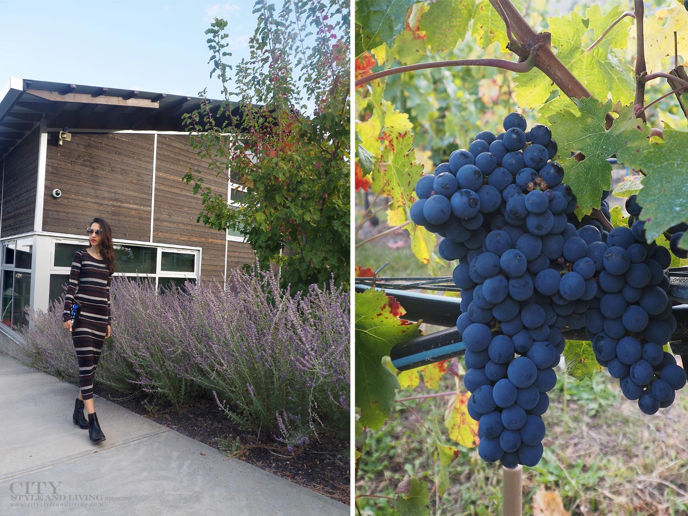 The Editors Notebook style blogger at Culmina family estate winery carbernet stripe maxi dress walking at tasting room