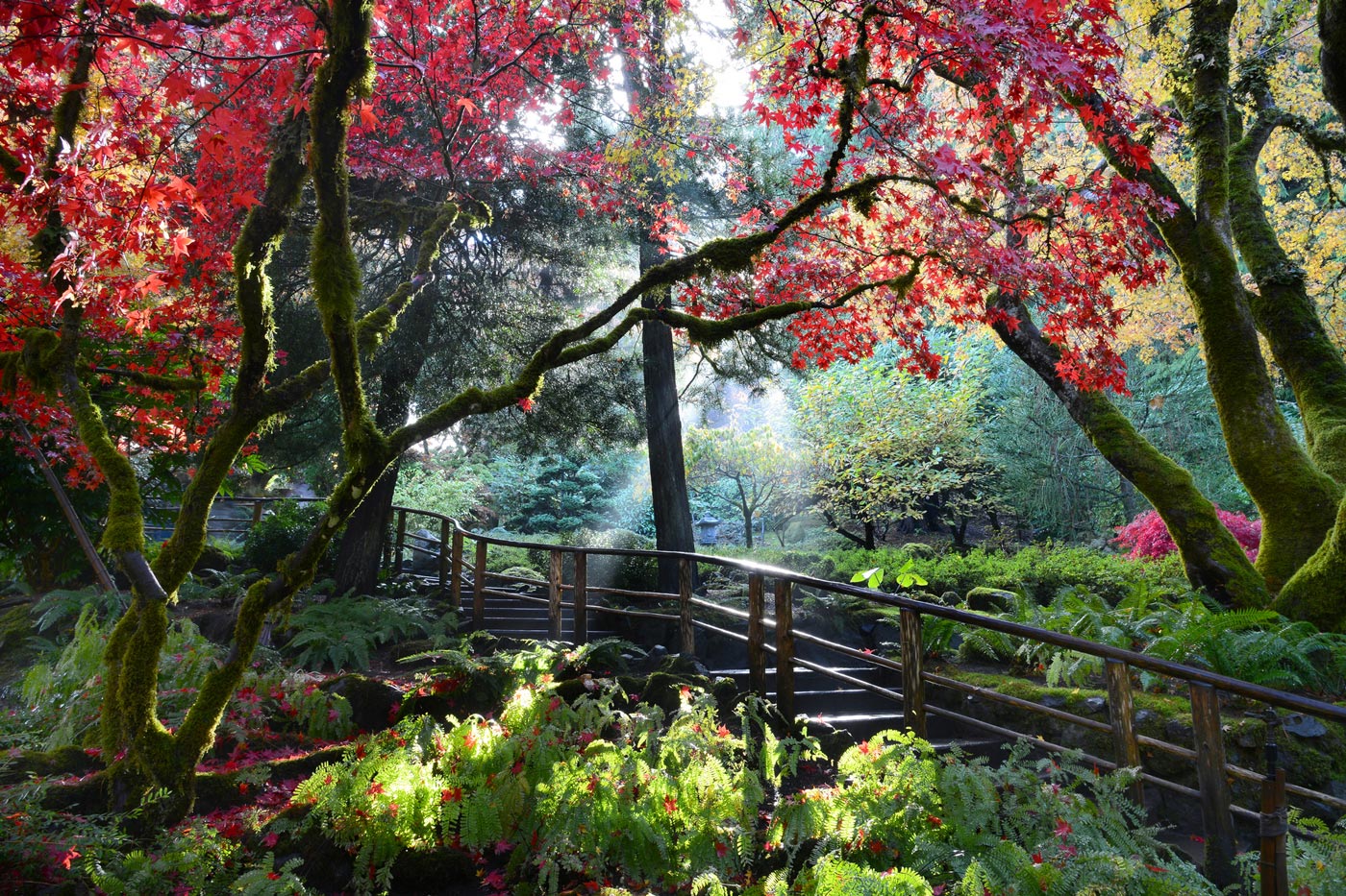 City Style and Living Magazine The Butchart Gradens Japanese Gardens fall leaves