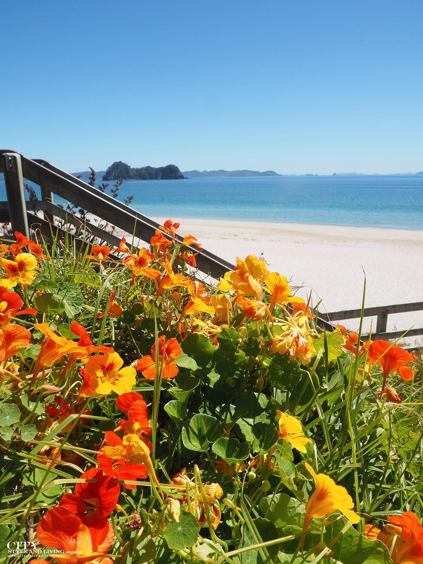 City Style and Living magazine new zealand coromandel coastline and flowers