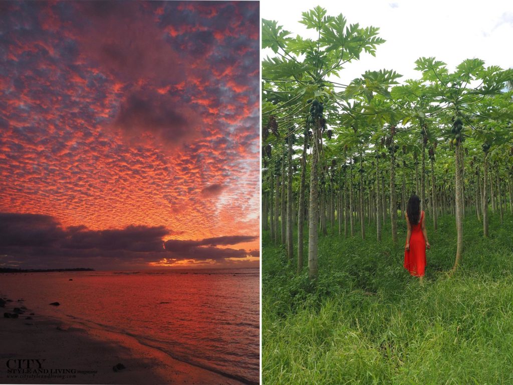 City Style and Living Magazine Rarotonga cook islands sunset and papaya trees