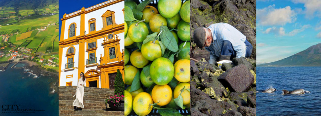 City Style and Living Magazine Travel The Azores Portugal Azores Collage 3