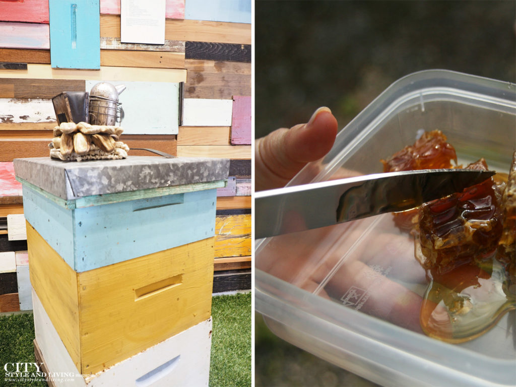 City Style and Living Magazine Gourmet Food Honey Frames and honey comb
