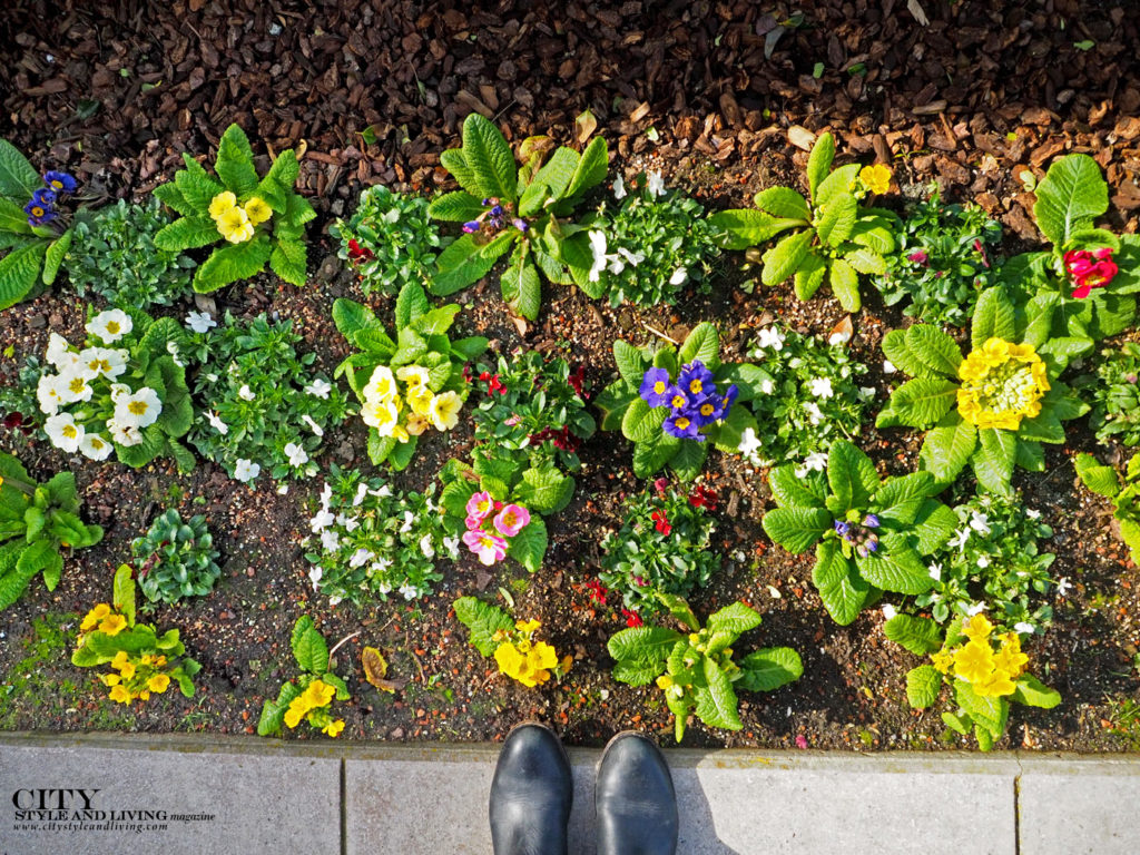 City Style and Living Magazine Summer Garden from above standing over flowers