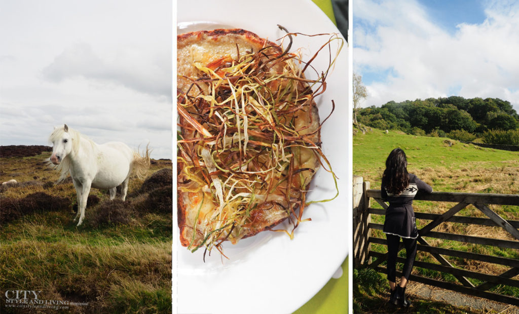 City Style and Living Magazine Winter 2018 Travel Wales Uk Snowdonia