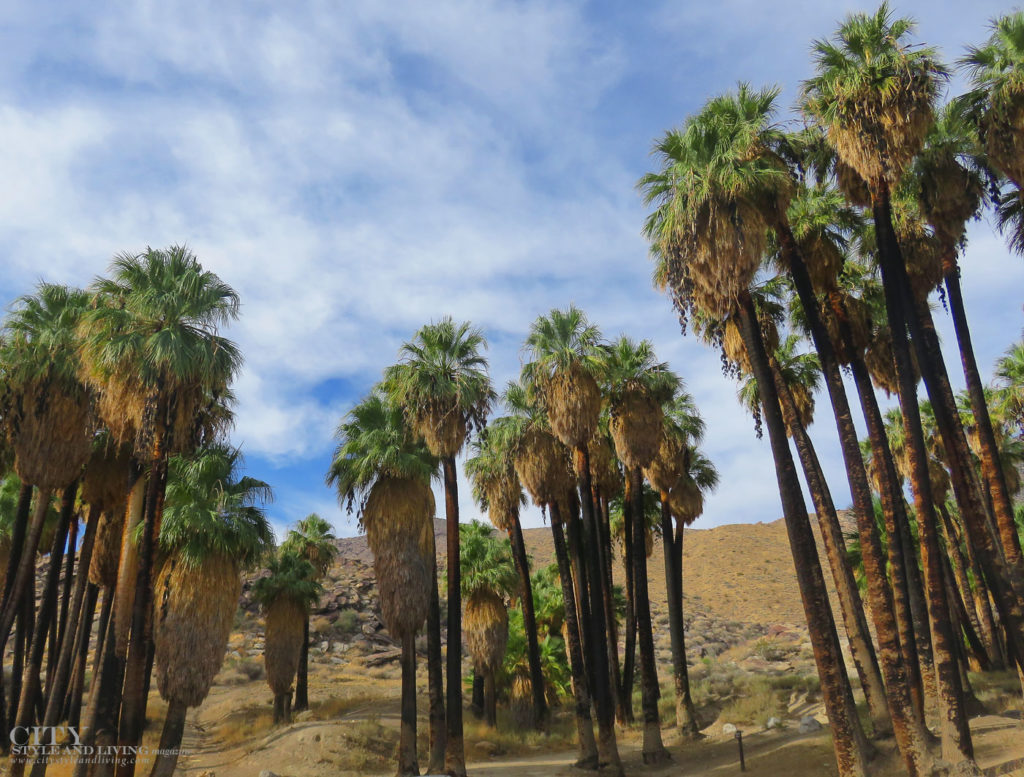 City Style and Living Magazine Winter 2018 Travel Greater Palm Springs California Indian Canyons