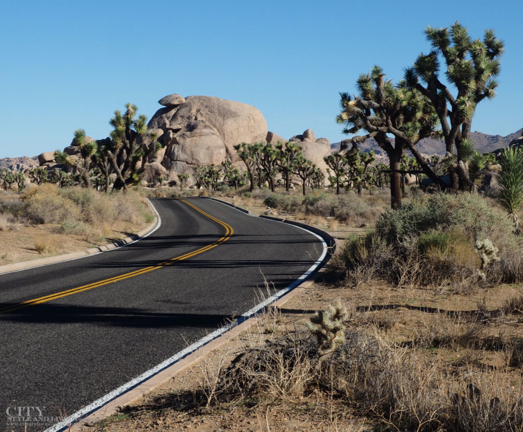 City Style and Living Magazine Winter 2018 Travel Greater Palm Springs California Joshua Tree