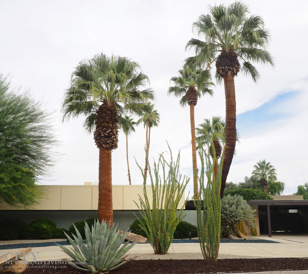 City Style and Living Magazine Winter 2018 Travel Greater Palm Springs California Palm Springs Modern Home and Plants