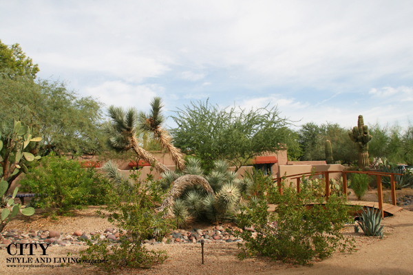 Landscaping at Hermosa Inn Paradise Valley Arizona City Style and Living