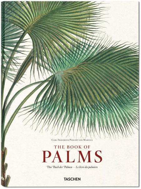 Martius Book of Palms