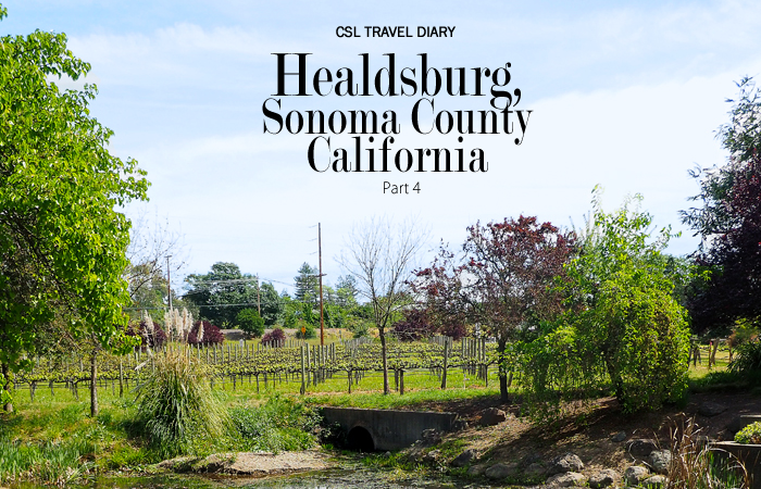 City Style and Living Magazine Healdsburg style blogger travel guide