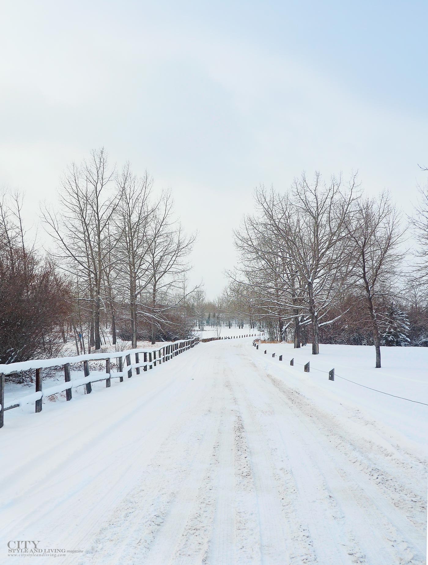 City Style and Living Magazine Editors Letter Winter 2017/18 Winter Scene in Calgary