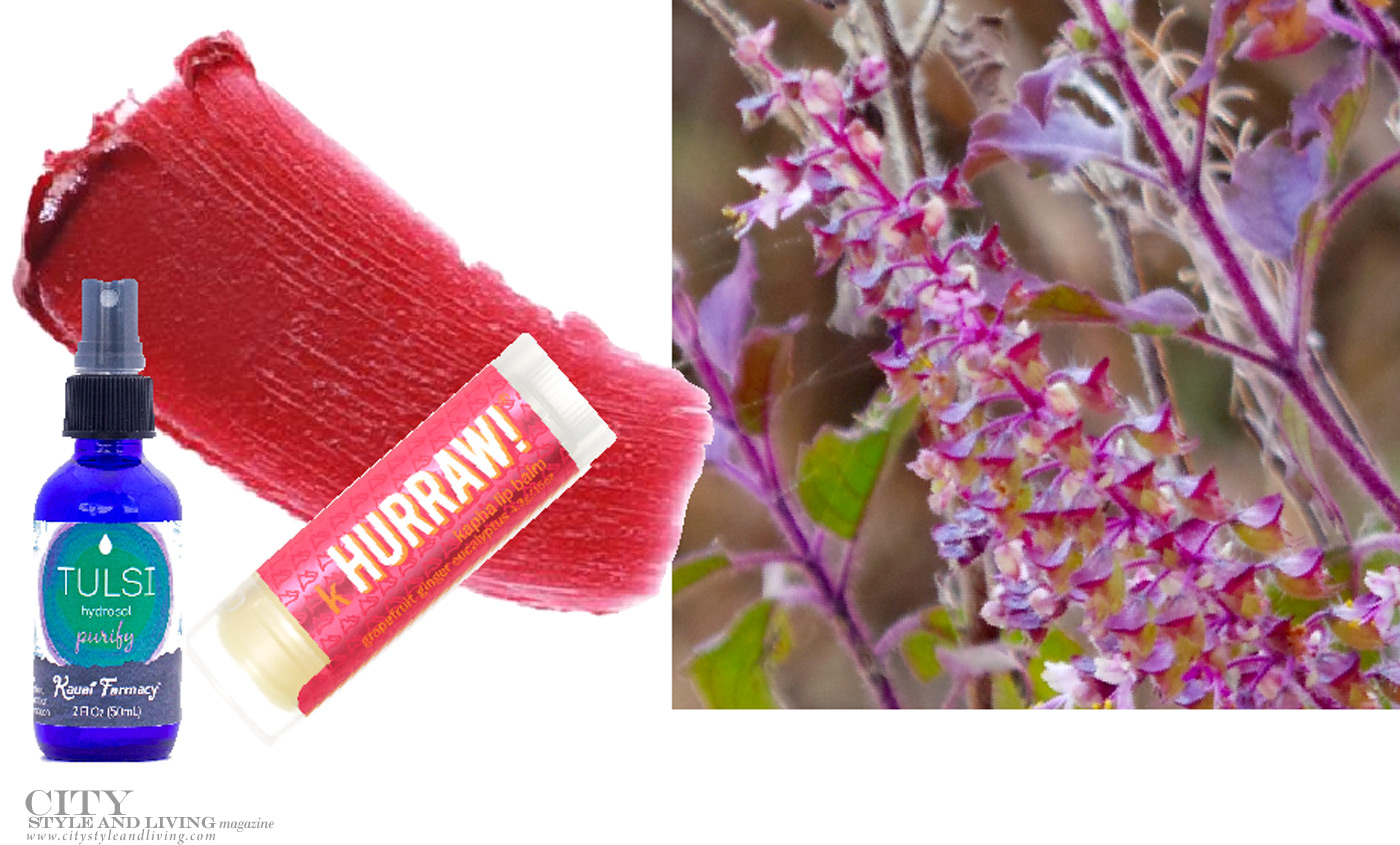 City Style and Living Magazine Spring 2019 Healthy Living 3 Plants To Add To Your Beauty Routine tulsi