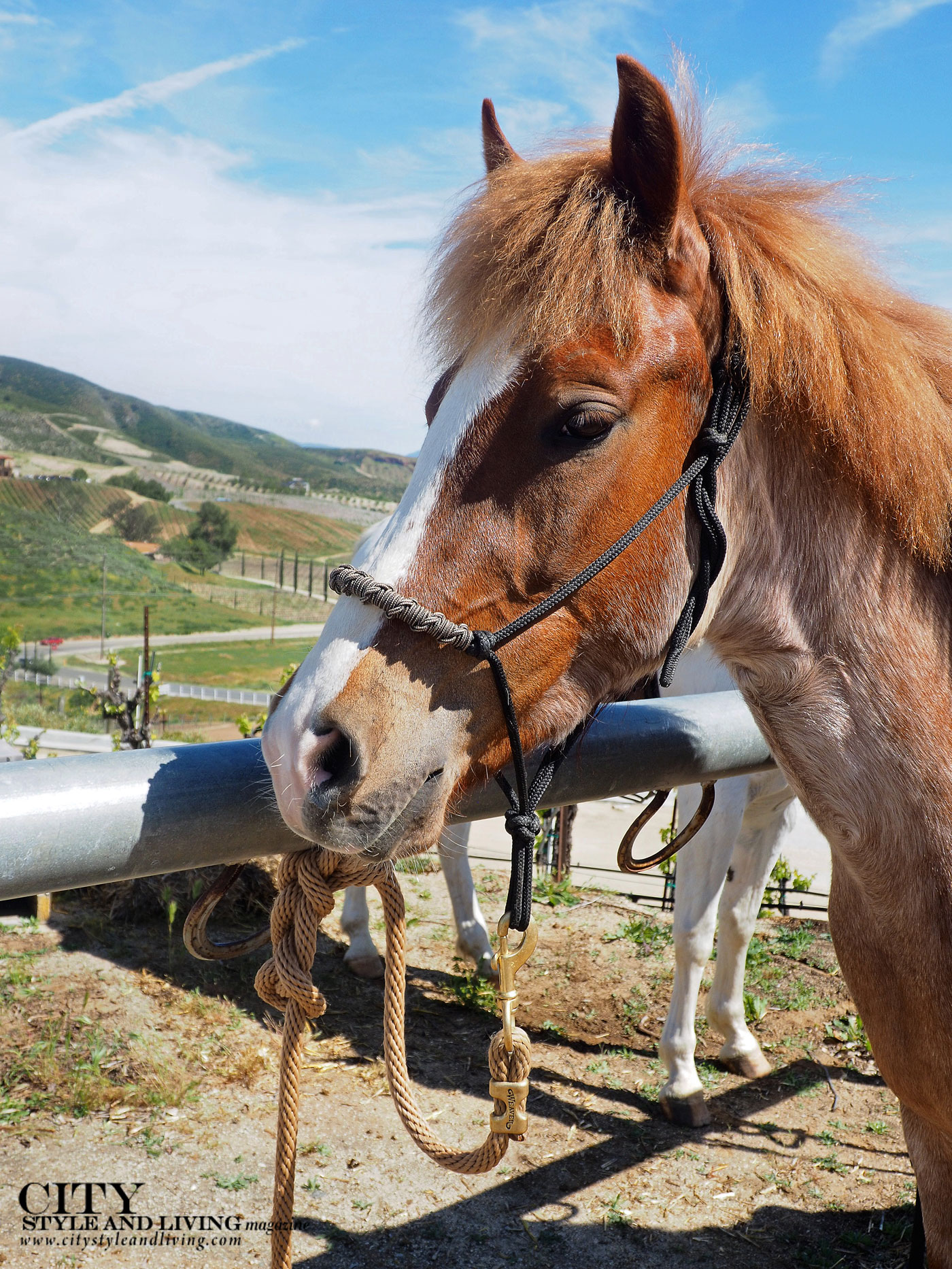 City Style and Living Magazine Summer 2019 Travel Southern California Temecula Chevrolet Blazer Horse