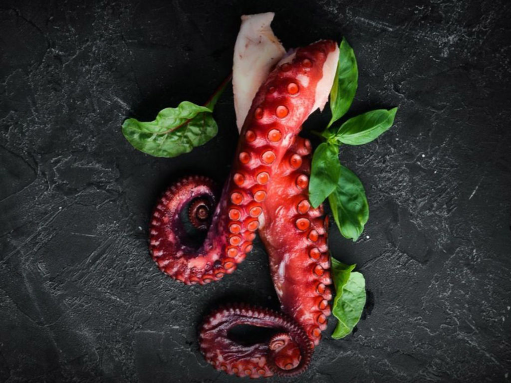  City Style and Living Spring 2021 3 Delicious and Simple Recipes for Octopus  Toppits Octupus