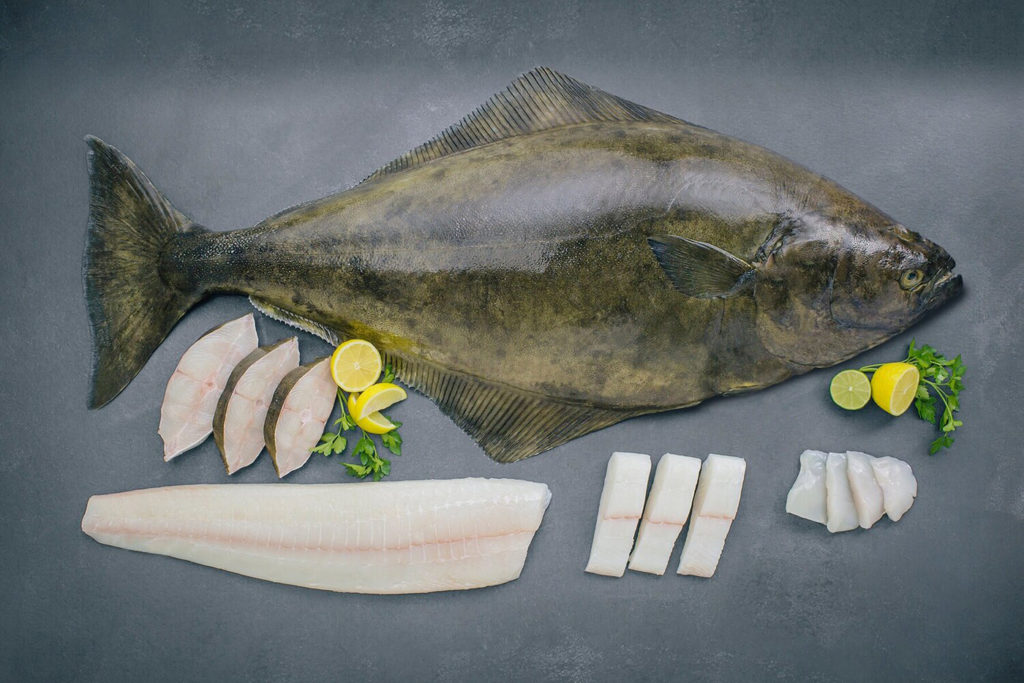 Whole Halibut Portions