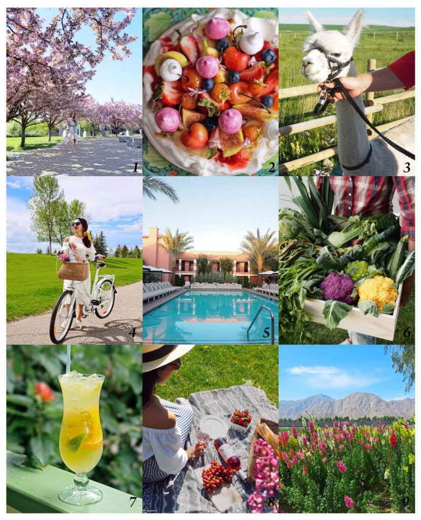 City Style and Living Spring 2022 9 Things CSL is Excited About This Spring 2022